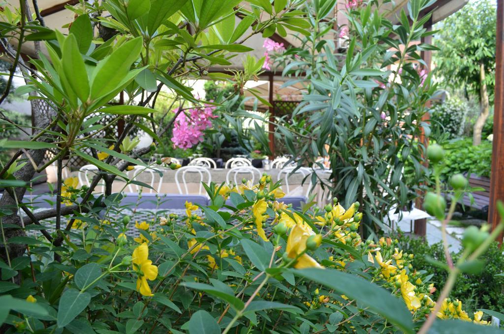 Albergo Giardino เชอร์นอบบิโอ ภายนอก รูปภาพ